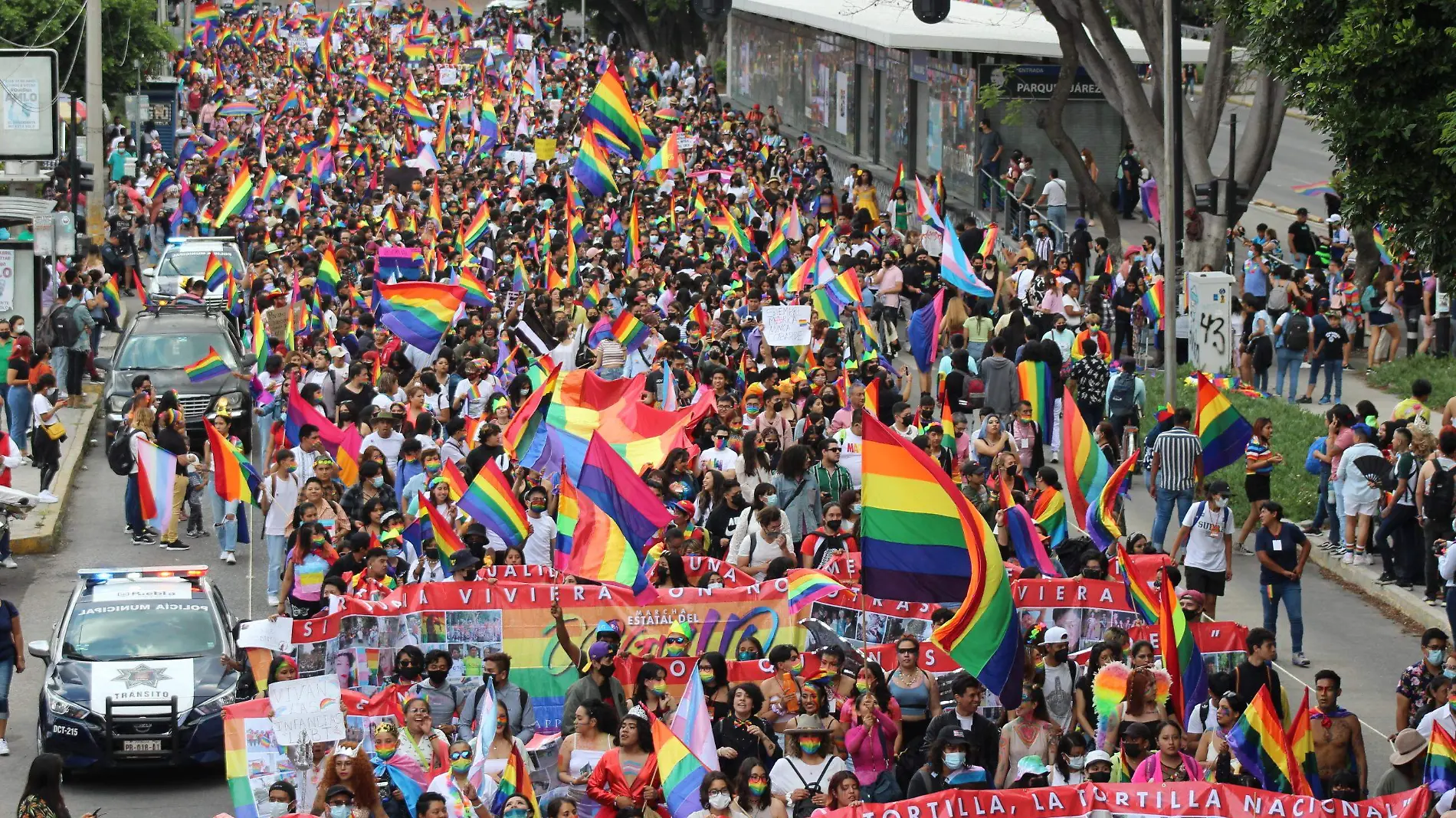 MARCHA GAY 